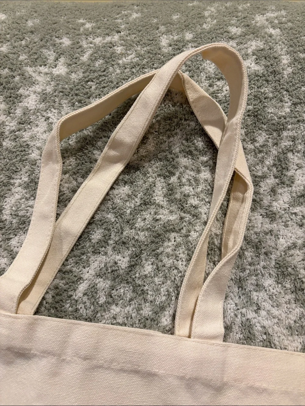 Southwest Ceramic Potted Succulents Cotton Canvas Tote Bag NWT 13.5x15.5”